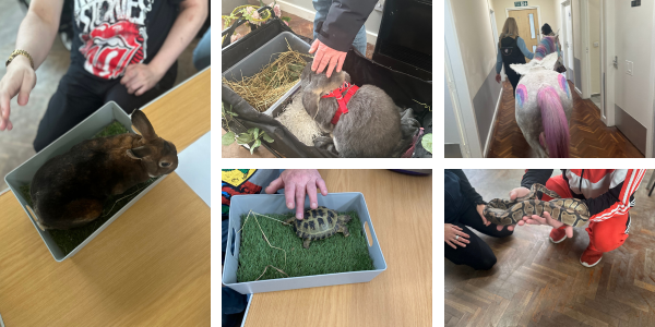 Exciting Day at Autism Plus as Our Furry Friends Visit!