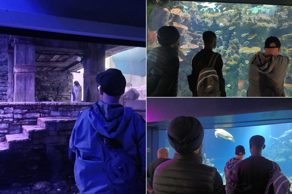 Supporting Routine, Choice and Community Connections
