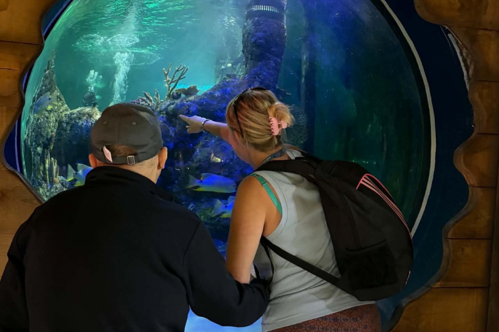 A Seaside Adventure in Skegness