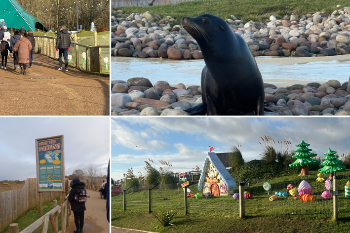 A Roaring Good Time at Yorkshire Wildlife Park