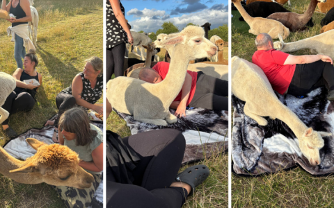 A brilliant adventure for people we support in Thorne!