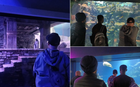 Supporting Routine, Choice and Community Connections