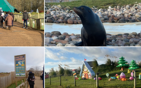 A Roaring Good Time at Yorkshire Wildlife Park