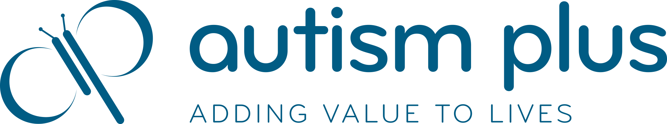 autism learning partners net worth